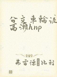 公交车轮流操到高潮hnp