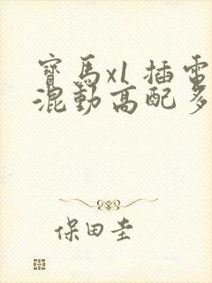 宝马x1 插电混动高配多少钱 宝马x1 插电混动高配多少钱
