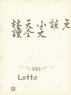 林天小说免费阅读全文 林天小说免费阅读全文