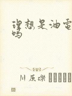 理想是油电混合吗