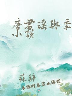 唐君瑶与季翰诚小说