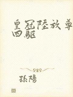 皇冠陆放尊贵版四驱