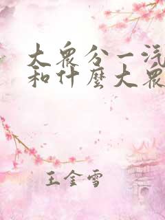 大众分一汽大众和什么大众