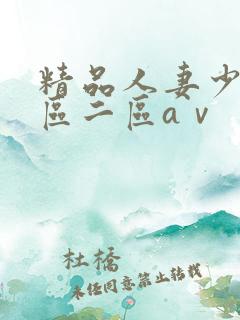 精品人妻少妇一区二区aⅴ