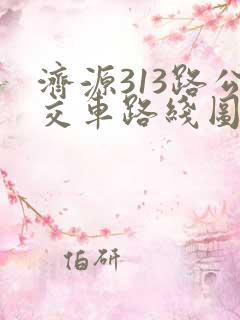 济源313路公交车路线图 济源313路公交车路线图