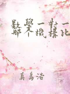 数学一对一辅导哪个机构比较好