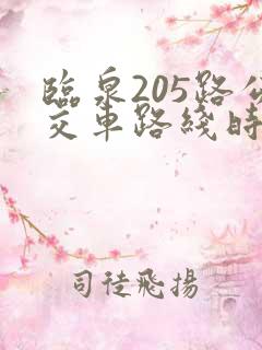 临泉205路公交车路线时间表