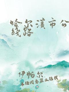 哈尔滨市公交车线路