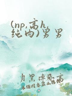 (np,高h,纯肉)男男