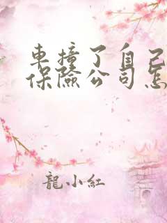 车撞了自己全责保险公司怎么赔