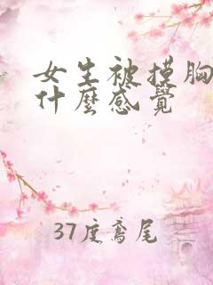 女生被摸胸会有什么感觉