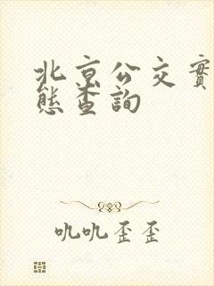北京公交实时动态查询