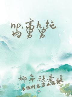 np,高h,纯肉男男