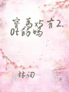 宝马x5有2.0t的吗