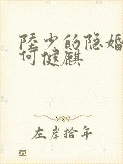 陆少的隐婚罪妻何健麒
