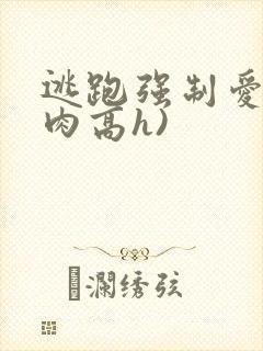 逃跑强制爱(巨肉高h)