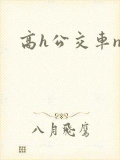 高h公交车np
