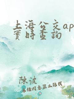 上海公交app实时查询