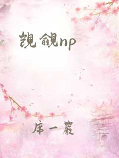 觊觎np 觊觎np