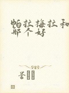 帕拉梅拉和卡宴哪个好
