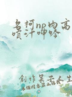 名柯np肉高h喷汁呻吟