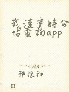 武汉实时公交到站查询app