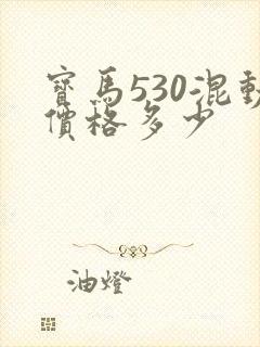 宝马530混动价格多少