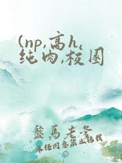 (np,高h,纯肉,校园