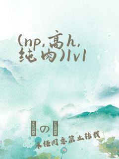 (np,高h,纯肉)1v1