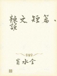 辣文 短篇 小说