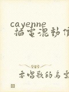 cayenne 插电混动价格多少 cayenne 插电混动价格多少