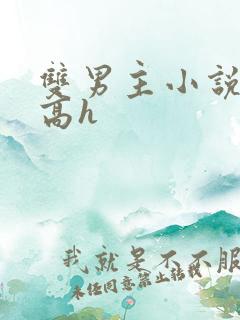 双男主小说推文高h