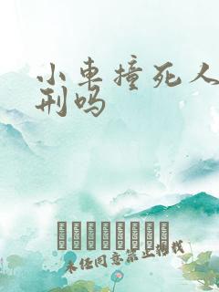 小车撞死人要判刑吗