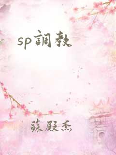 sp调教 sp调教
