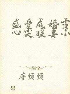 盛爱成婚霍少的心尖暖妻小说