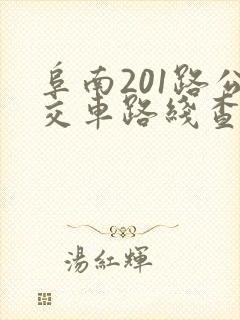 阜南201路公交车路线查询
