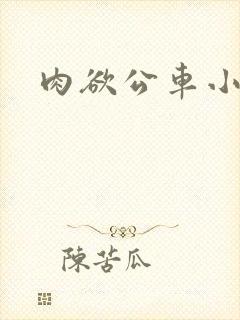 肉欲公车小说