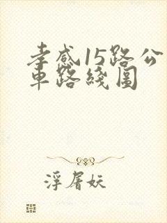 孝感15路公交车路线图