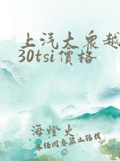 上汽大众越野330tsi价格
