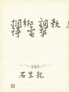 捆绑 调教 虐待 电击