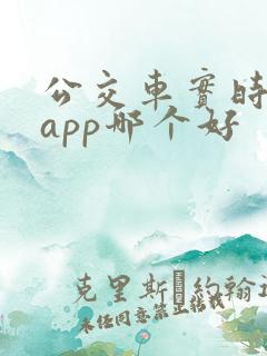 公交车实时到站app哪个好