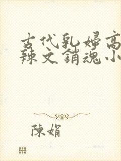 古代乳妇高h肉辣文销魂小妾
