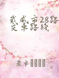 武威市28路公交车路线