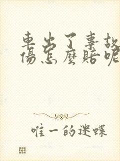 车出了事故人受伤怎么赔呢