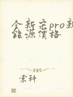 全新宋pro新能源价格
