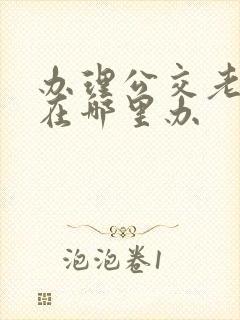 办理公交老年卡在哪里办