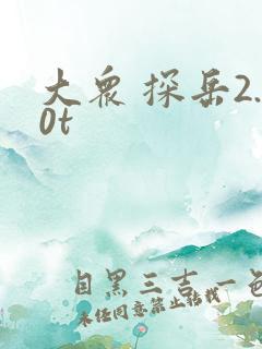 大众 探岳2.0t
