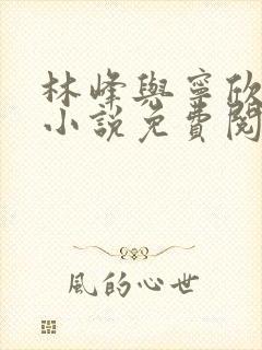 林峰与宁欣正版小说免费阅读最新