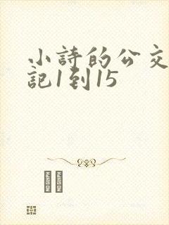 小诗的公交车日记1到15