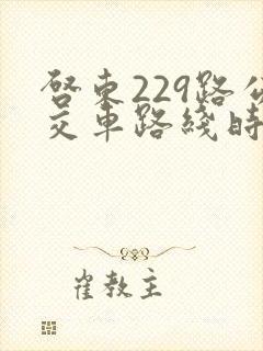 启东229路公交车路线时间表
